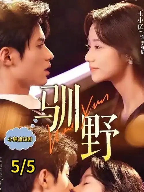 暗流之上职场剧全集在线观看